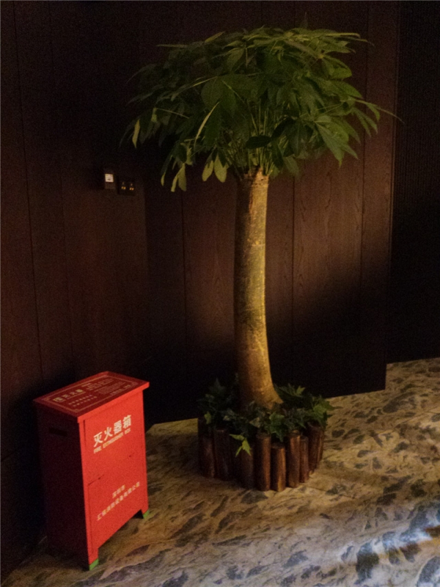 單杆發財樹